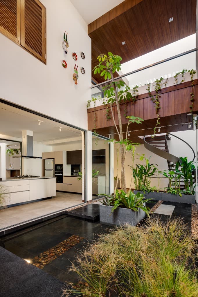 Central water garden with fountain grasses, rising living tree, and floating spiral stair in the background