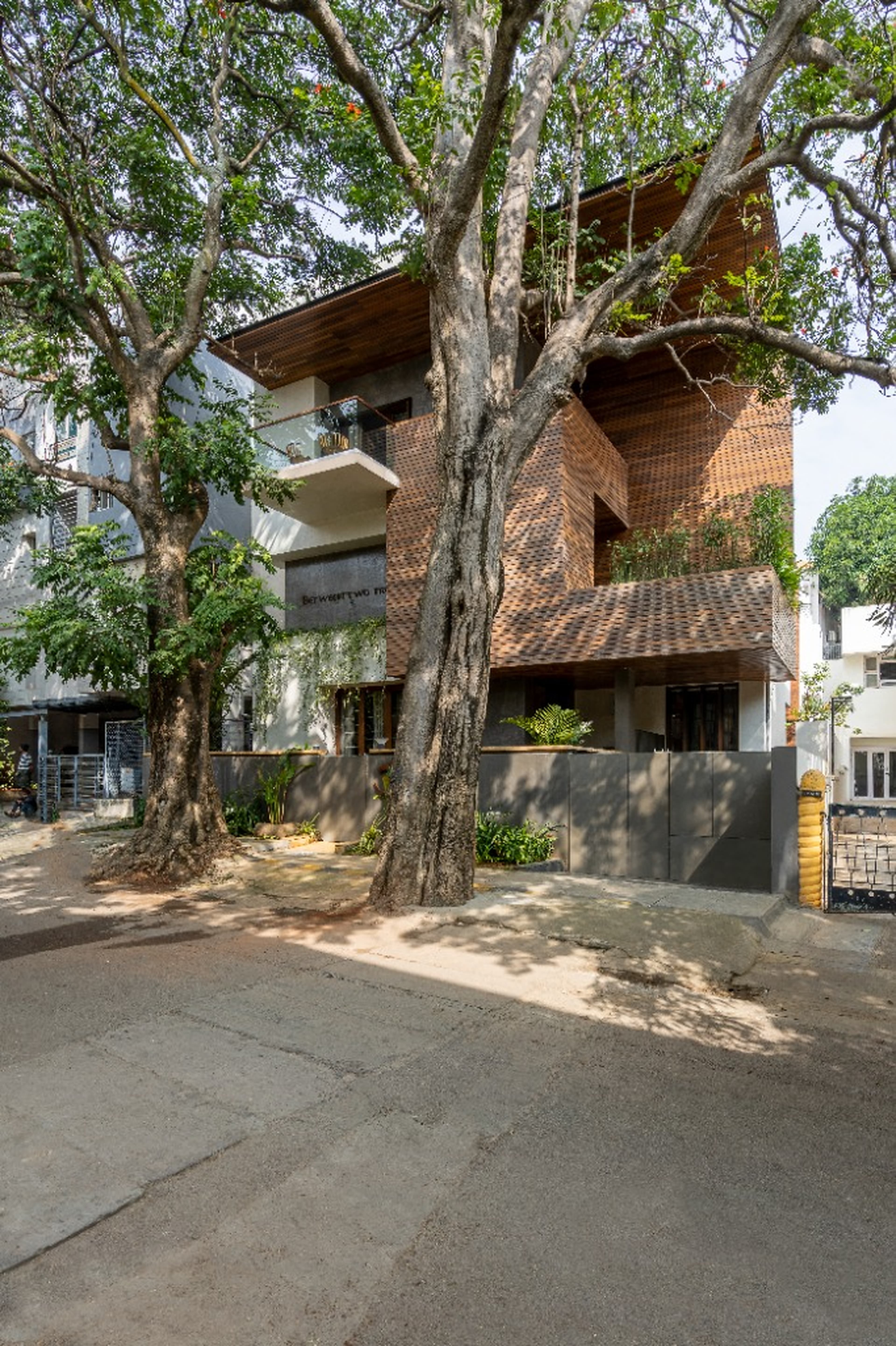Brick Jali Facade Between Heritage Trees
