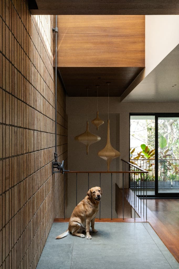 Resident Companion & Cocoon Lantern Hall