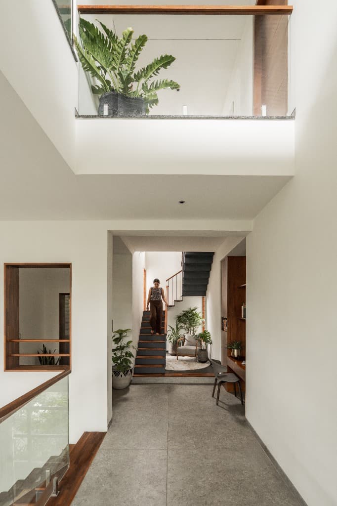 Mezzanine Hallway & Potted Philodendron