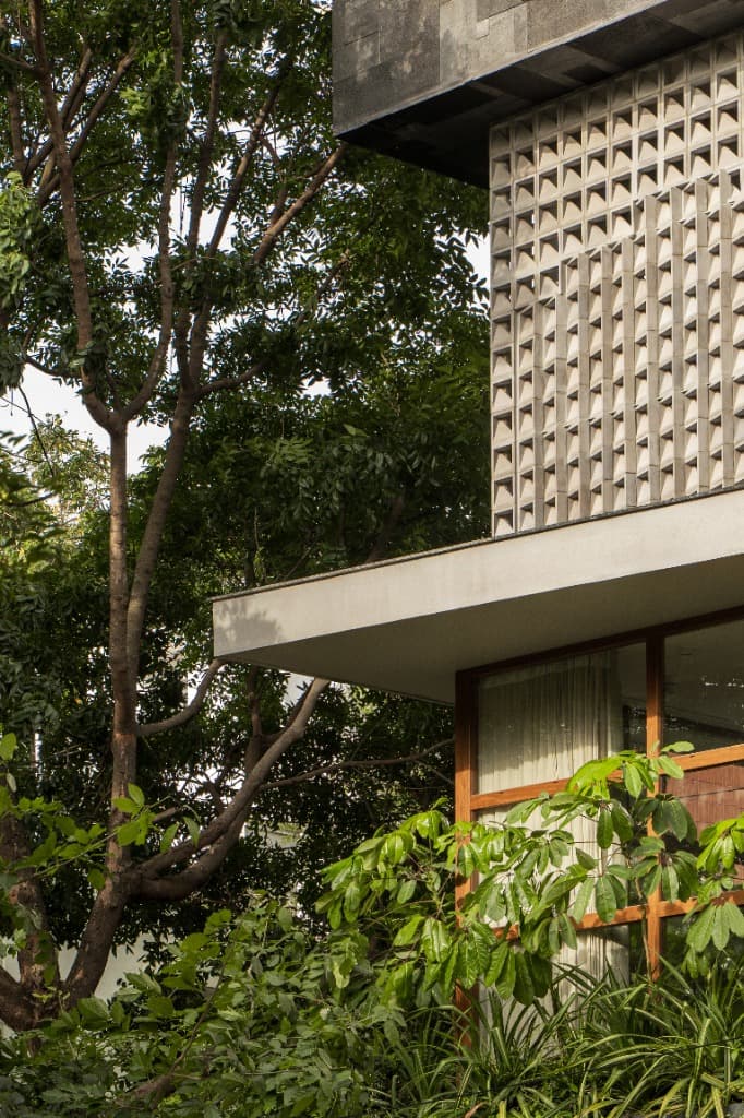 Upper Jaali Lattice & Cantilever Canopy