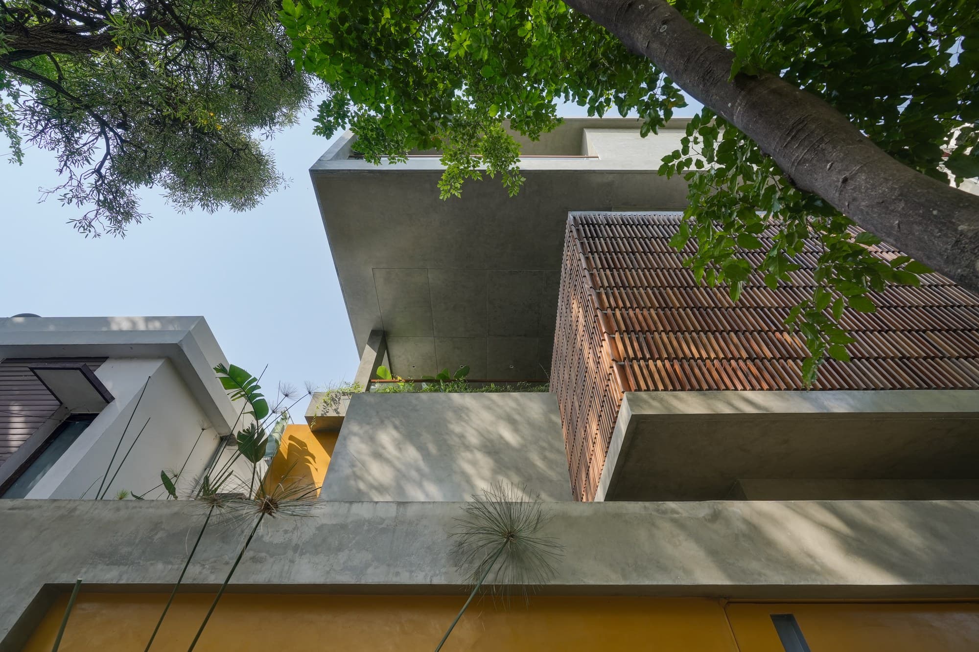 Illuminated evening street elevation showing fair-faced concrete and privacy screens